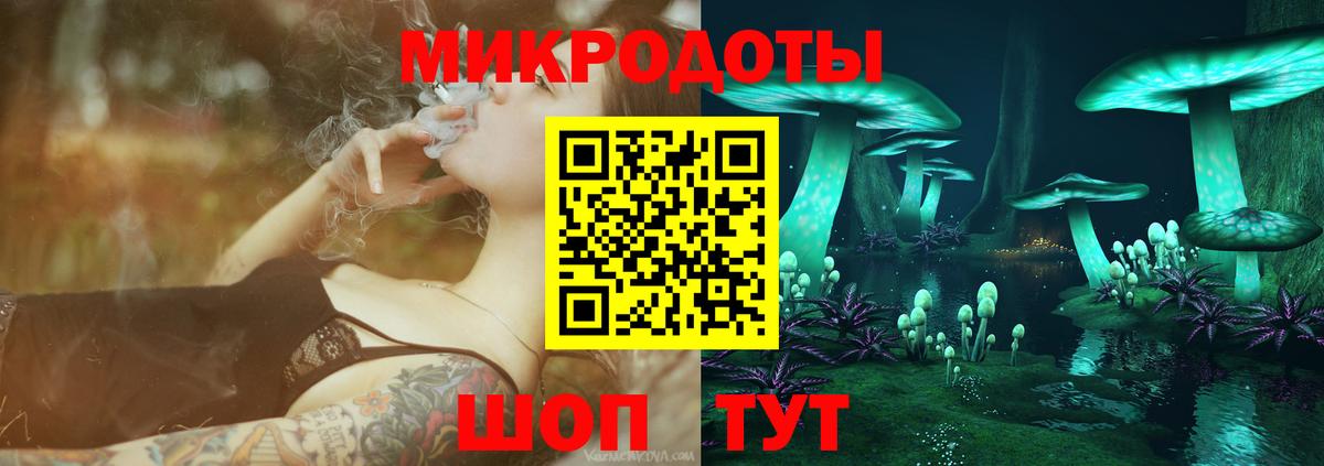 Галлюциногенные грибы Psilocybe Коряжма